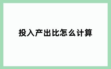投入产出比怎么计算