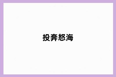 投奔怒海