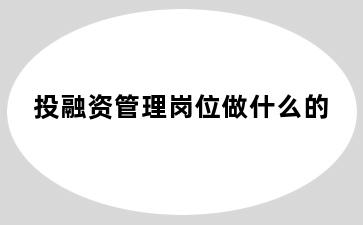 投融资管理岗位做什么的