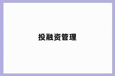 投融资管理