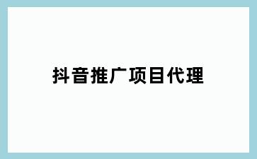 抖音推广项目代理