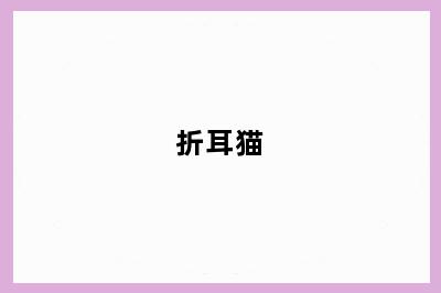 折耳猫