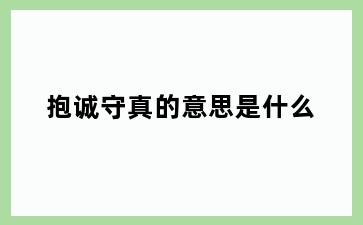 抱诚守真的意思是什么