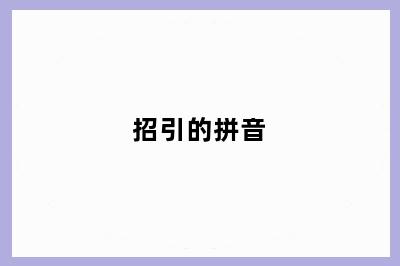 招引的拼音