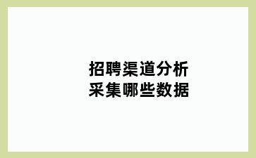 招聘渠道分析采集哪些数据