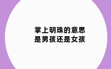掌上明珠的意思是男孩还是女孩