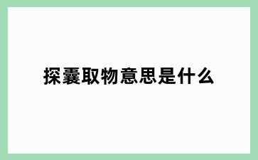 探囊取物意思是什么