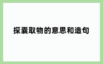 探囊取物的意思和造句
