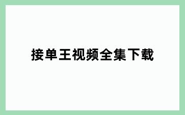 接单王视频全集下载