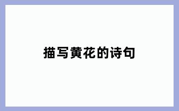 描写黄花的诗句