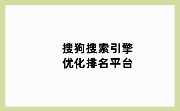 搜狗搜索引擎优化排名平台