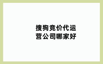 搜狗竞价代运营公司哪家好
