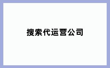搜索代运营公司