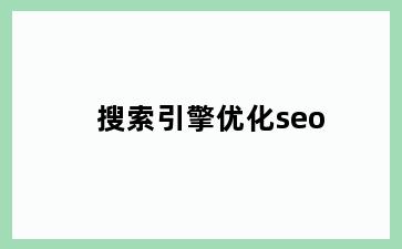 搜索引擎优化seo