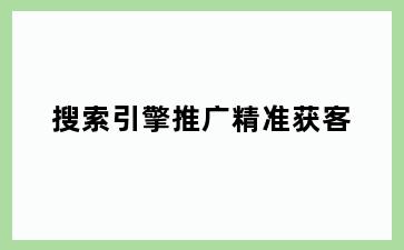 搜索引擎推广精准获客