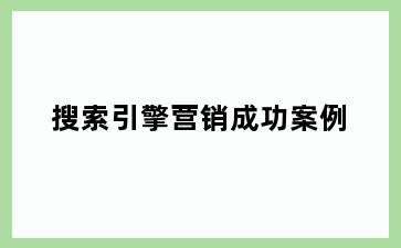 搜索引擎营销成功案例