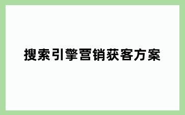 搜索引擎营销获客方案
