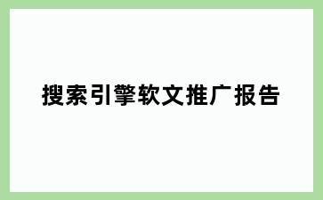 搜索引擎软文推广报告