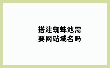 搭建蜘蛛池需要网站域名吗