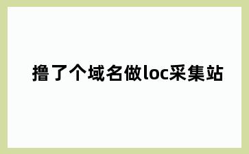 撸了个域名做loc采集站