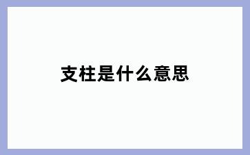支柱是什么意思