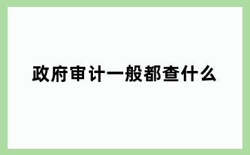 政府审计一般都查什么