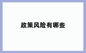 政策风险有哪些