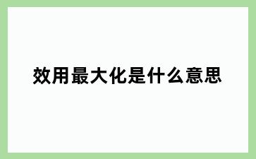 效用最大化是什么意思