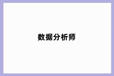 数据分析师