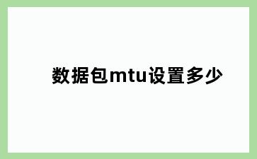 数据包mtu设置多少