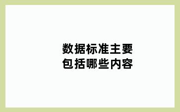 数据标准主要包括哪些内容