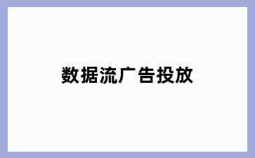 数据流广告投放