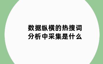 数据纵横的热搜词分析中采集是什么