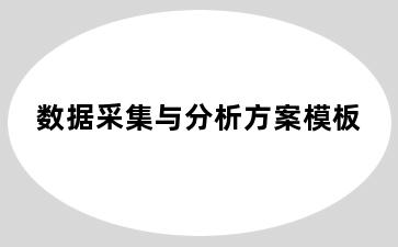 数据采集与分析方案模板
