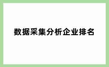数据采集分析企业排名