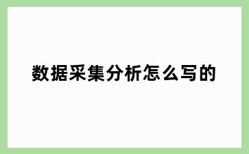 数据采集分析怎么写的