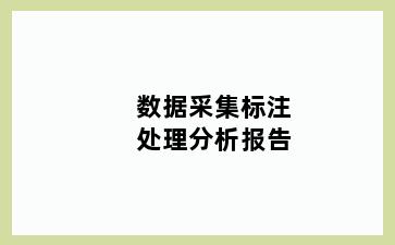 数据采集标注处理分析报告