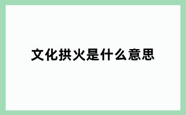 文化拱火是什么意思