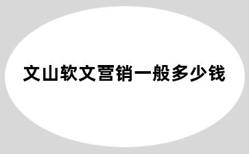 文山软文营销一般多少钱
