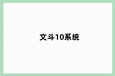 文斗10系统