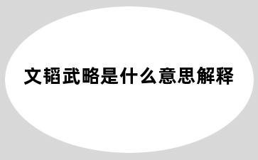 文韬武略是什么意思解释