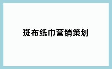 斑布纸巾营销策划