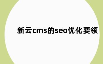 新云cms的seo优化要领
