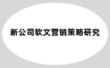 新公司软文营销策略研究