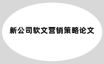 新公司软文营销策略论文