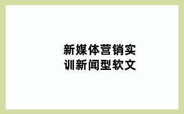 新媒体营销实训新闻型软文