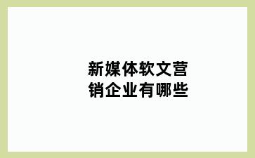 新媒体软文营销企业有哪些