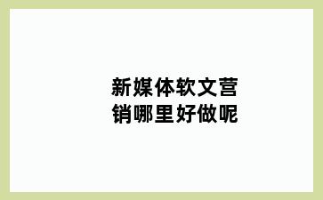 新媒体软文营销哪里好做呢