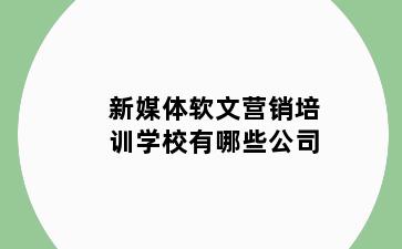 新媒体软文营销培训学校有哪些公司