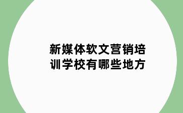 新媒体软文营销培训学校有哪些地方